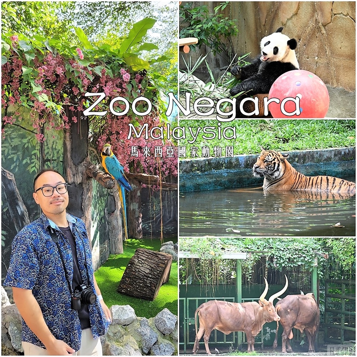 馬來西亞國家動物園 Zoo Negara Malaysia 吉隆坡近郊景點