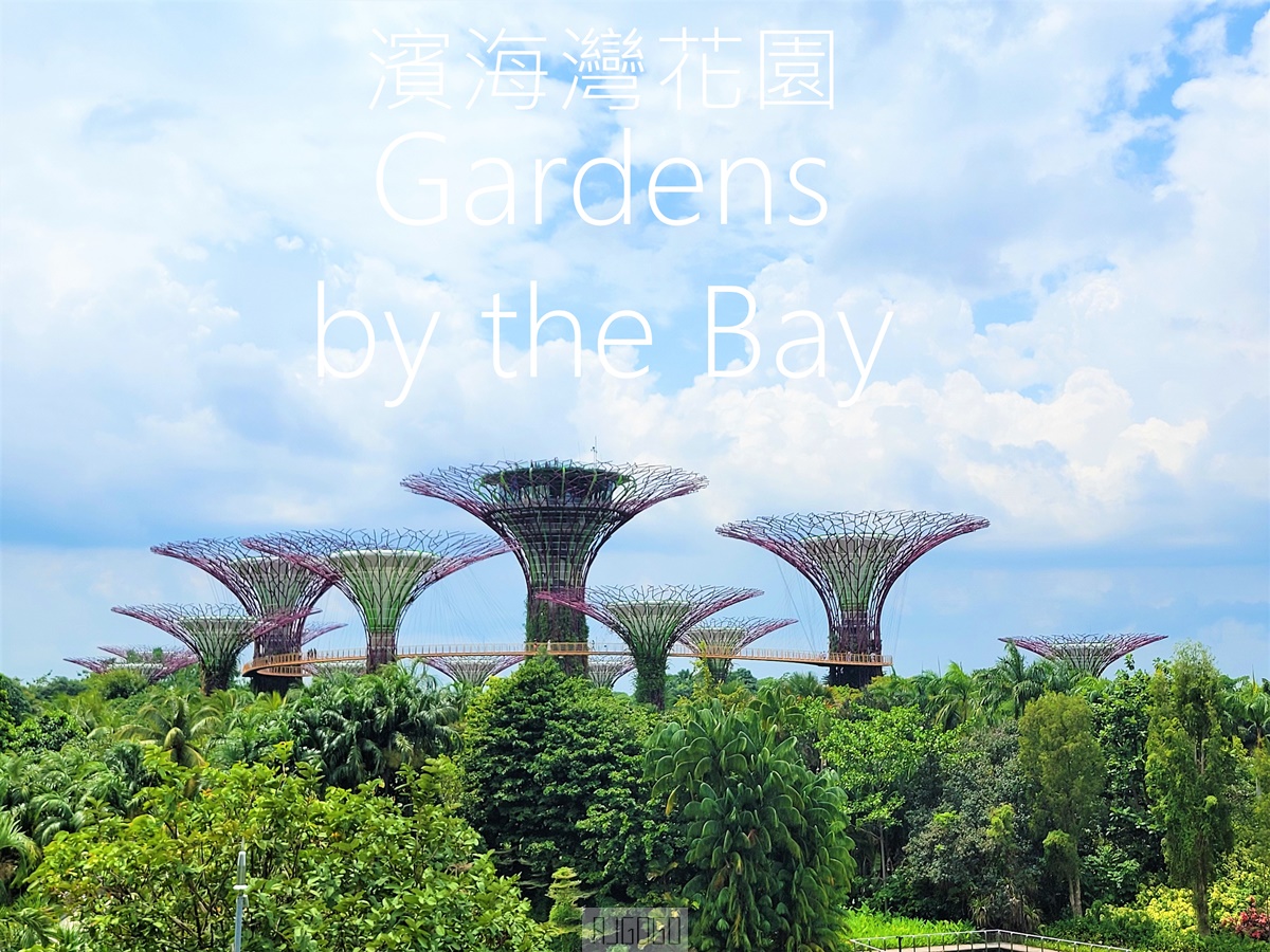 濱海灣花園 新加坡必訪景點 花穹、雲霧林、超級樹、奇幻花園