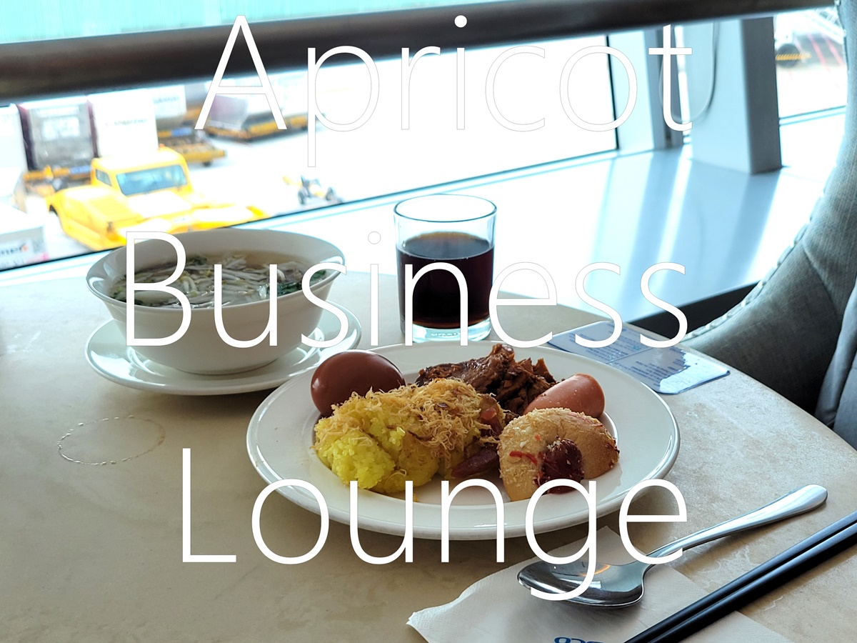 Apricot Business Lounge 胡志明市新山一機場 國際航廈貴賓室