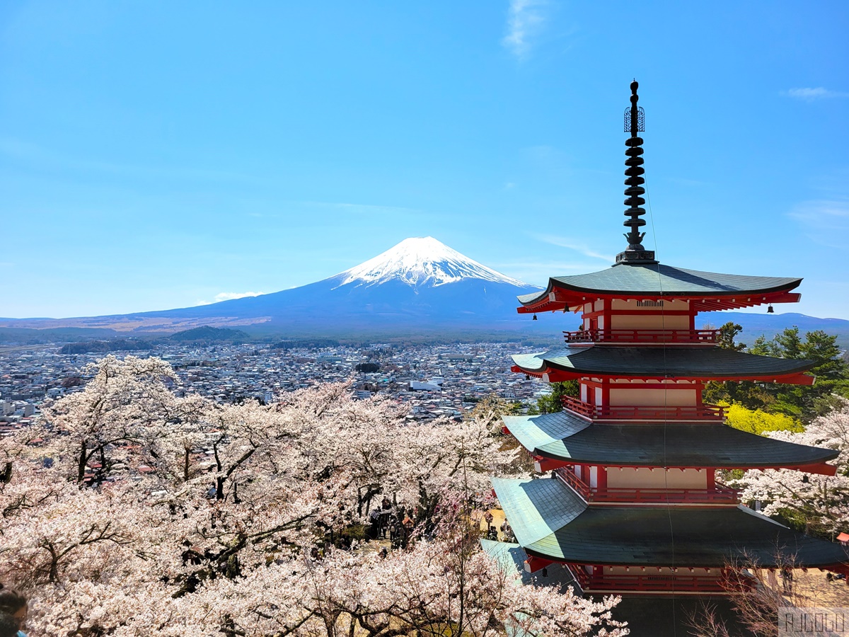 新倉山淺間公園展望台 忠靈塔、富士山、滿山櫻花