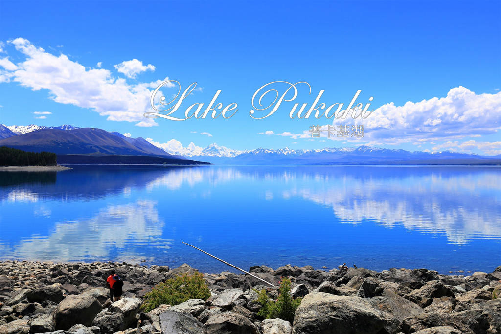 紐西蘭南島景點：普卡基湖 Lake Pukaki 公路旅行絕美休息站與品嘗山泉水鮭魚生魚片