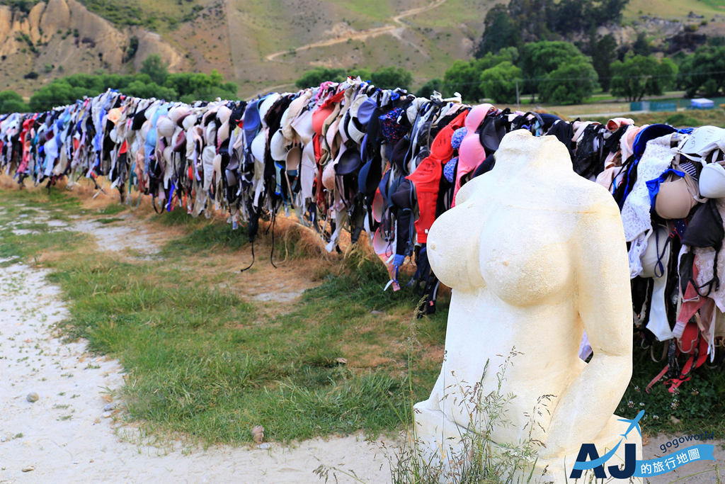 （紐西蘭南島景點）胸罩圍牆 Bradrona 世界最害羞的景點之一